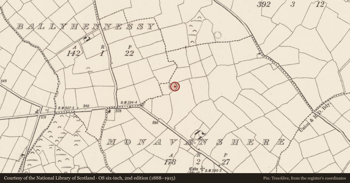 Ordnance Survey six-inch map, 2nd edition (1888–1915) covering the location of Ringfort - rath, Monavanshere, County Cork, with a pin at the register's coordinates