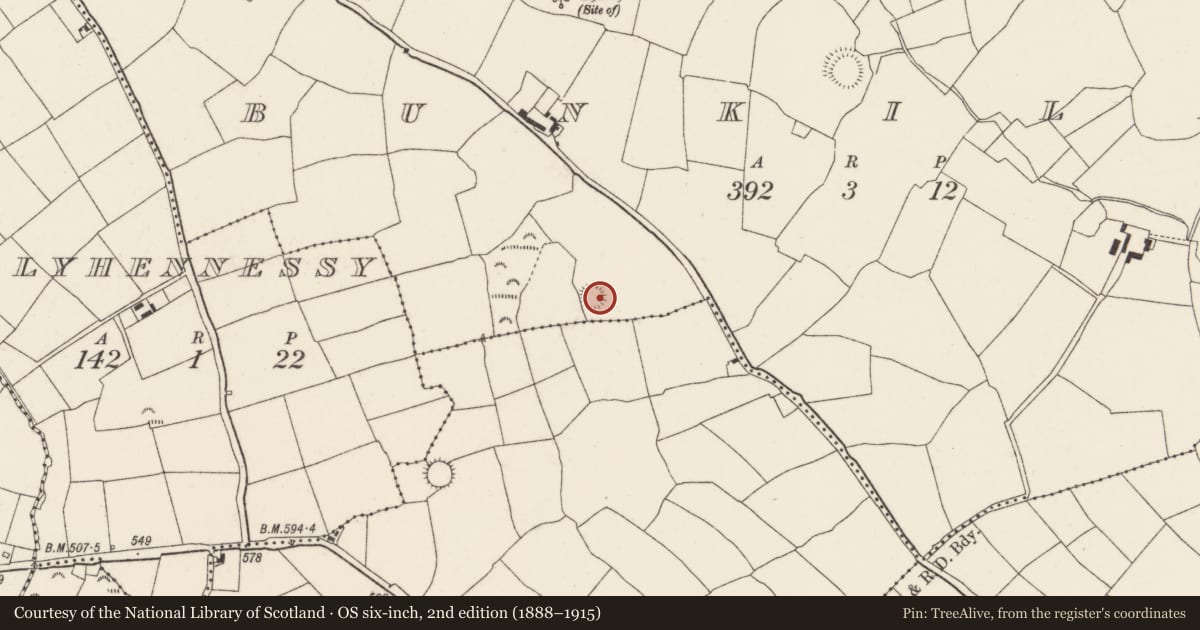 Ordnance Survey six-inch map, 2nd edition (1888–1915) covering the location of Ringfort - rath, Bunkilla, County Cork, with a pin at the register's coordinates
