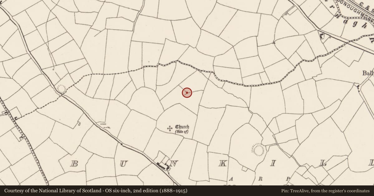 Ordnance Survey six-inch map, 2nd edition (1888–1915) covering the location of Ogham stone, Bunkilla, County Cork, with a pin at the register's coordinates