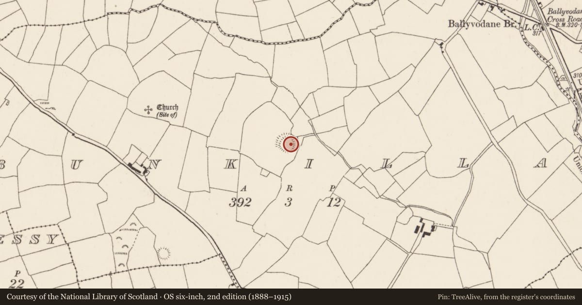 Ordnance Survey six-inch map, 2nd edition (1888–1915) covering the location of Ringfort - rath, Bunkilla, County Cork, with a pin at the register's coordinates