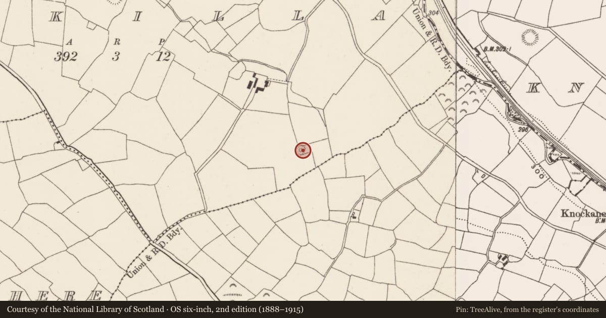 Ordnance Survey six-inch map, 2nd edition (1888–1915) covering the location of Barrow - ring-barrow, Bunkilla, County Cork, with a pin at the register's coordinates