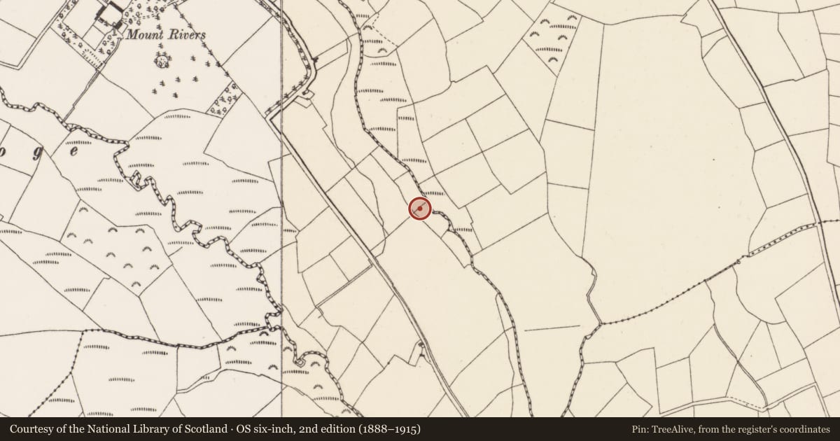 Ordnance Survey six-inch map, 2nd edition (1888–1915) covering the location of Fulacht fia, Mountrivers, County Cork, with a pin at the register's coordinates