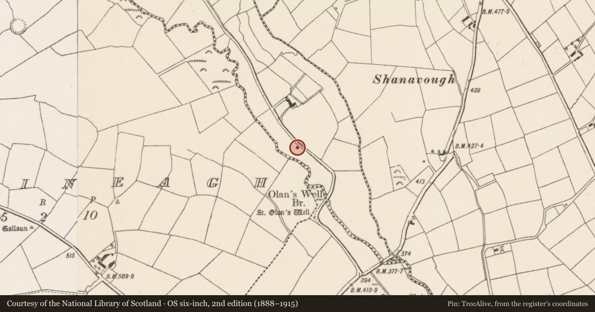 Ordnance Survey six-inch map, 2nd edition (1888–1915) covering the location of Ringfort - rath, Mountrivers, County Cork, with a pin at the register's coordinates