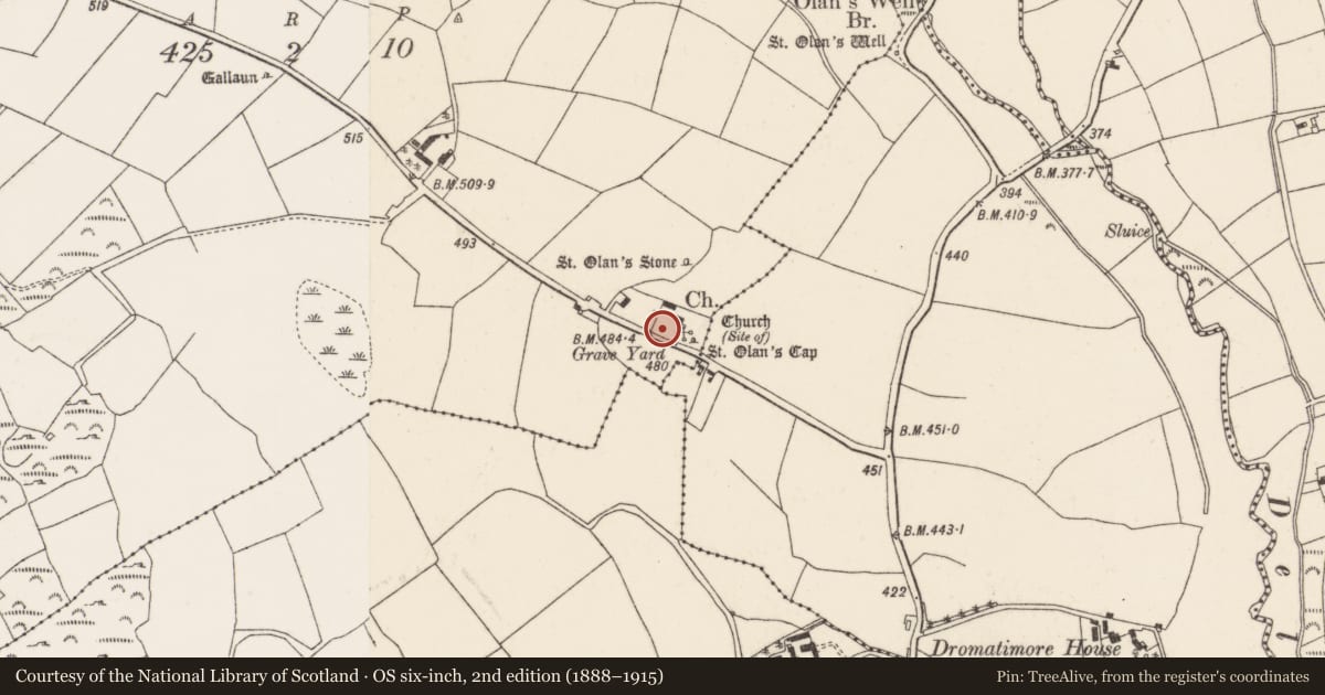 Ordnance Survey six-inch map, 2nd edition (1888–1915) covering the location of Graveyard, Coolineagh, County Cork, with a pin at the register's coordinates