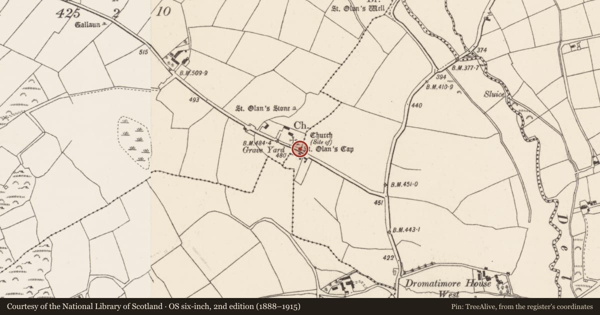Ordnance Survey six-inch map, 2nd edition (1888–1915) covering the location of Ogham stone, Coolineagh, County Cork, with a pin at the register's coordinates