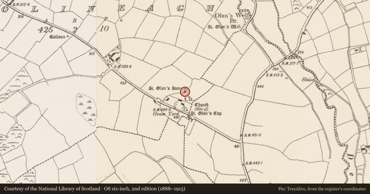 Ordnance Survey six-inch map, 2nd edition (1888–1915) covering the location of Ritual site - holy/saint's stone, Coolineagh, County Cork, with a pin at the register's coordinates