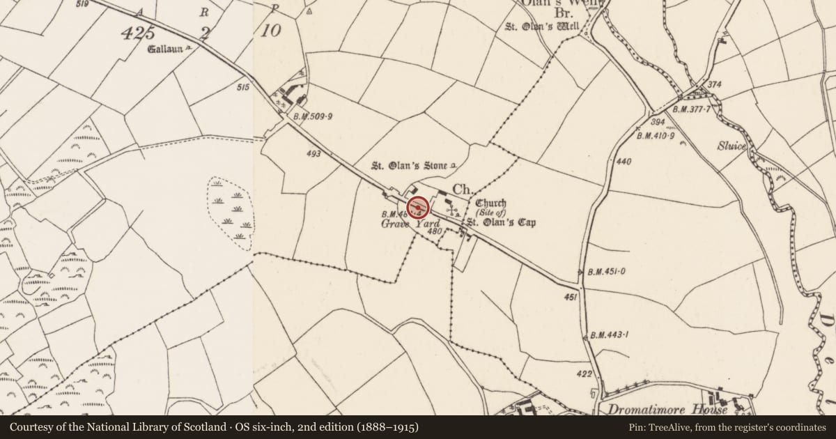 Ordnance Survey six-inch map, 2nd edition (1888–1915) covering the location of Ogham stone, Coolineagh, County Cork, with a pin at the register's coordinates