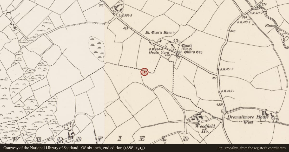 Ordnance Survey six-inch map, 2nd edition (1888–1915) covering the location of Fulacht fia, Coolineagh, County Cork, with a pin at the register's coordinates