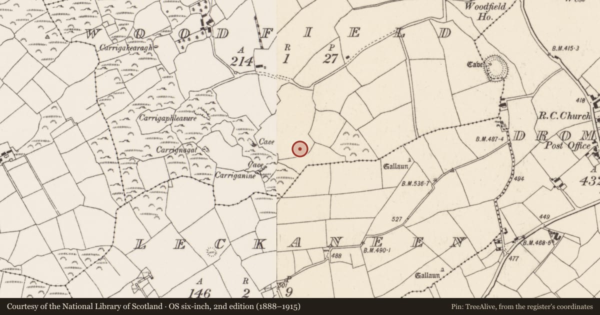 Ordnance Survey six-inch map, 2nd edition (1888–1915) covering the location of Fulacht fia, Woodfield, County Cork, with a pin at the register's coordinates