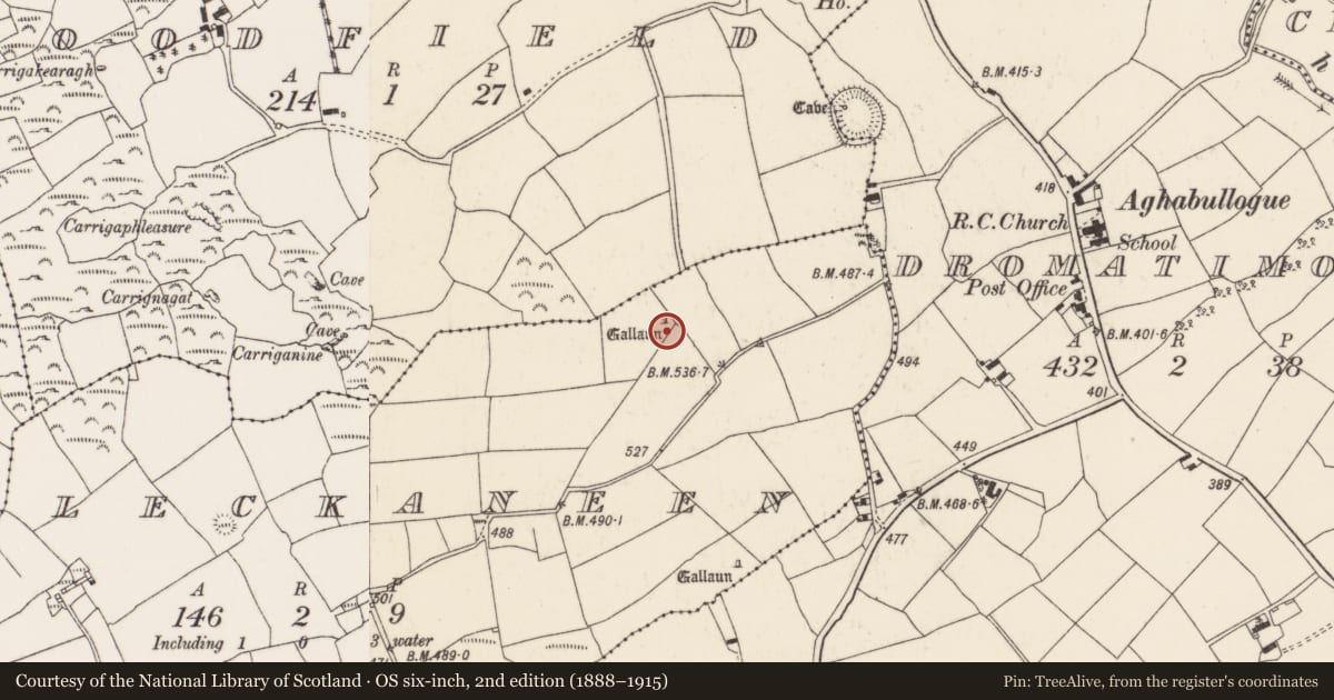 Ordnance Survey six-inch map, 2nd edition (1888–1915) covering the location of Standing stone, Leckaneen, County Cork, with a pin at the register's coordinates