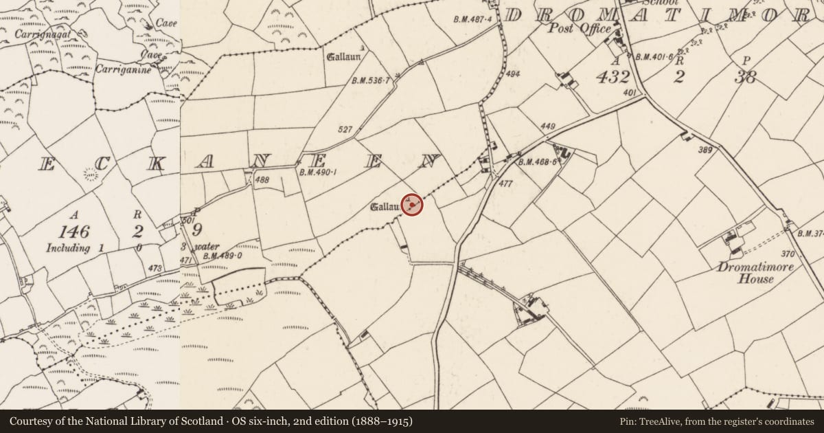 Ordnance Survey six-inch map, 2nd edition (1888–1915) covering the location of Stone circle - five-stone, Leckaneen, County Cork, with a pin at the register's coordinates