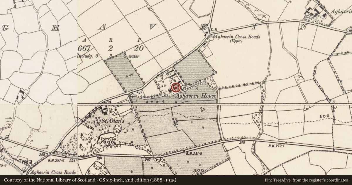 Ordnance Survey six-inch map, 2nd edition (1888–1915) covering the location of Country house, Aghavrin, County Cork, with a pin at the register's coordinates