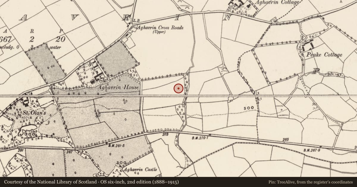 Ordnance Survey six-inch map, 2nd edition (1888–1915) covering the location of Standing stone, Aghavrin, County Cork, with a pin at the register's coordinates