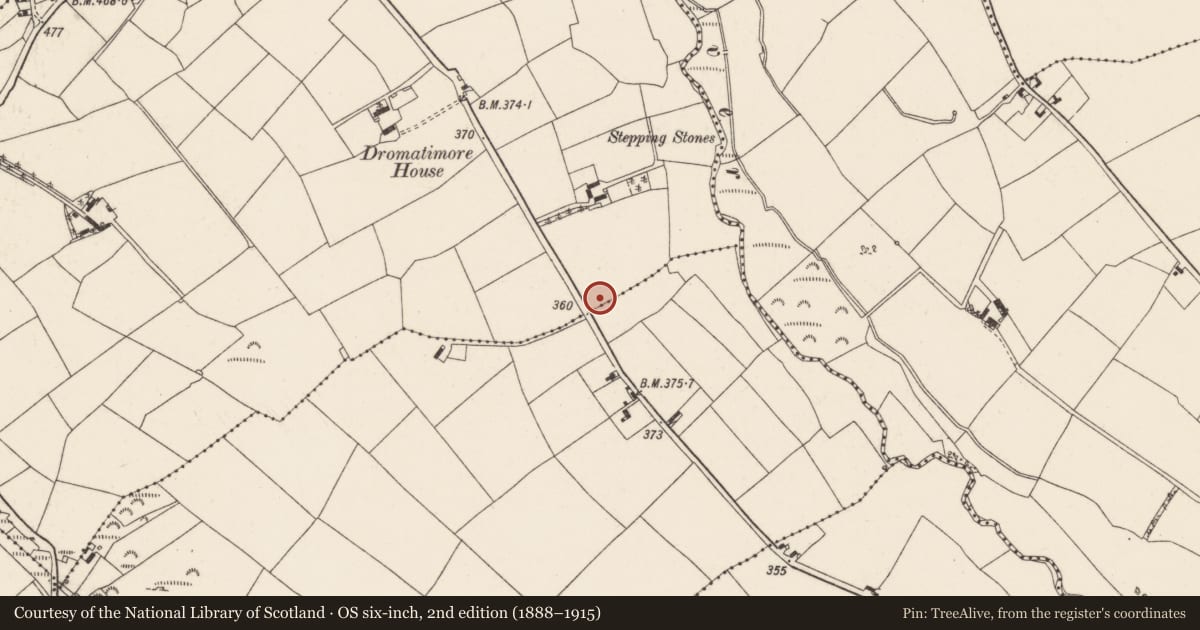 Ordnance Survey six-inch map, 2nd edition (1888–1915) covering the location of Anomalous stone group, Dromatimore, County Cork, with a pin at the register's coordinates