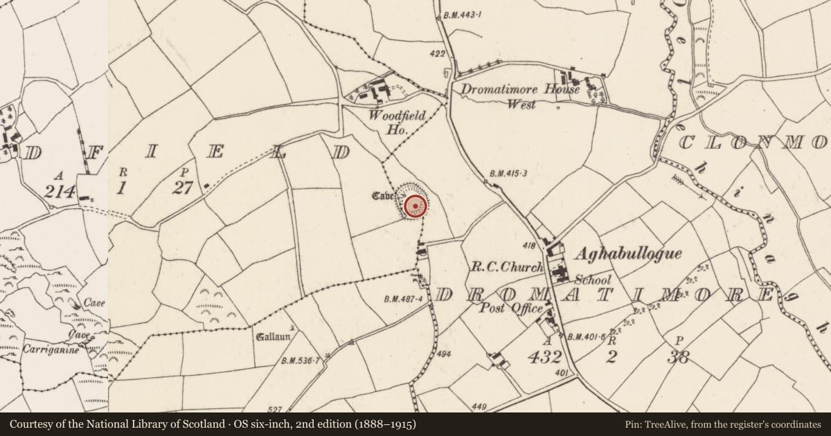 Ordnance Survey six-inch map, 2nd edition (1888–1915) covering the location of Ringfort - rath, Dromatimore, County Cork, with a pin at the register's coordinates