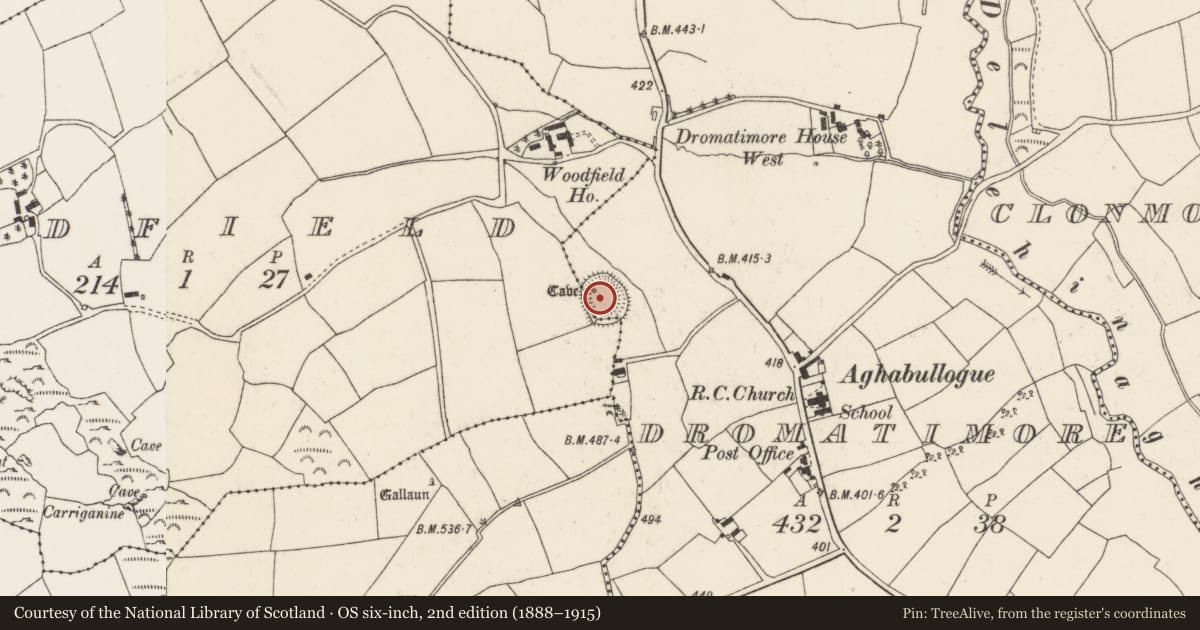 Ordnance Survey six-inch map, 2nd edition (1888–1915) covering the location of Souterrain, Dromatimore, County Cork, with a pin at the register's coordinates