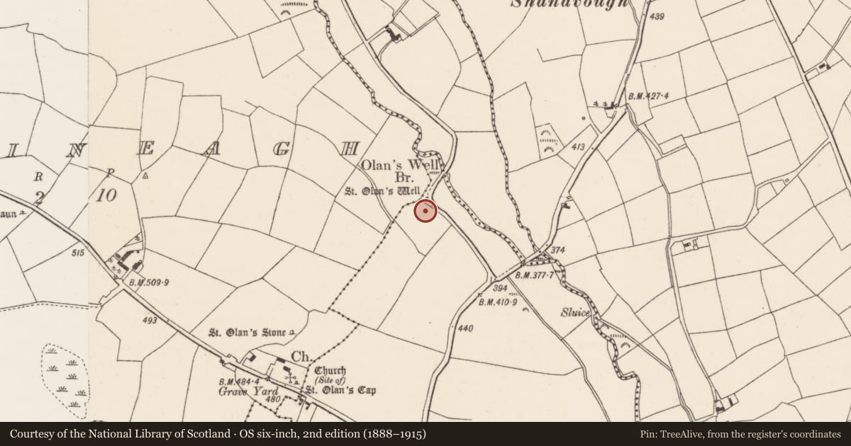Ordnance Survey six-inch map, 2nd edition (1888–1915) covering the location of Ogham stone (present location), Dromatimore, County Cork, with a pin at the register's coordinates
