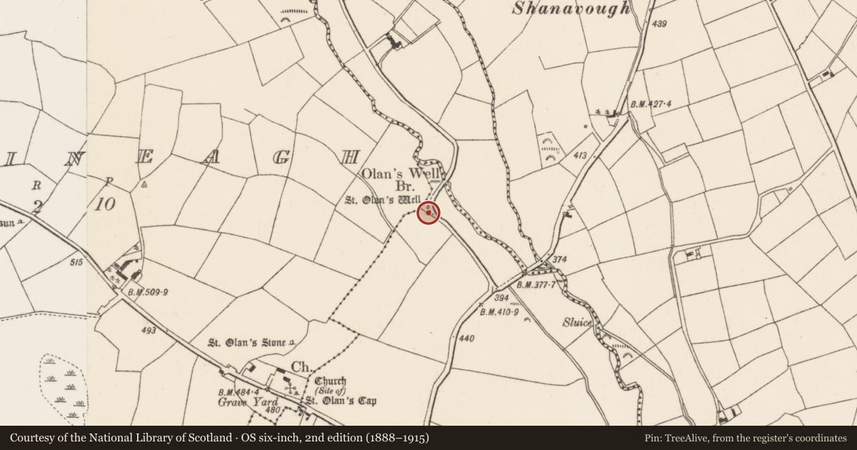 Ordnance Survey six-inch map, 2nd edition (1888–1915) covering the location of Ritual site - holy well, Dromatimore, County Cork, with a pin at the register's coordinates