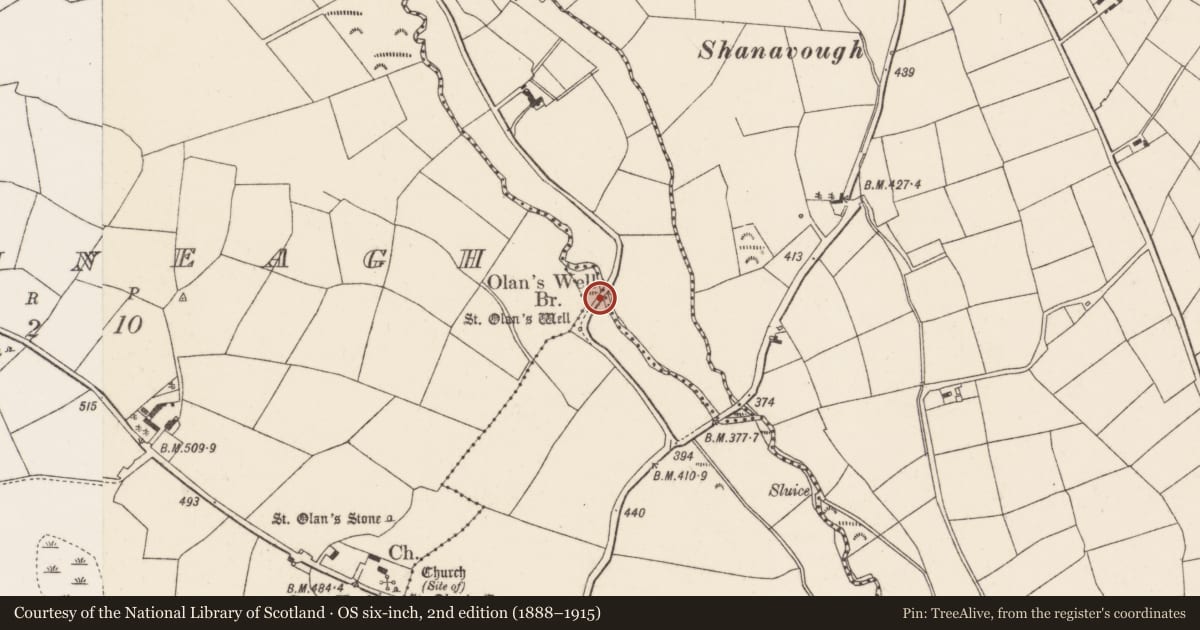 Ordnance Survey six-inch map, 2nd edition (1888–1915) covering the location of Bridge, Dromatimore, Mountrivers, County Cork, with a pin at the register's coordinates