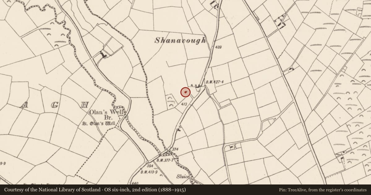 Ordnance Survey six-inch map, 2nd edition (1888–1915) covering the location of Fulacht fia, Clonmoyle West, County Cork, with a pin at the register's coordinates