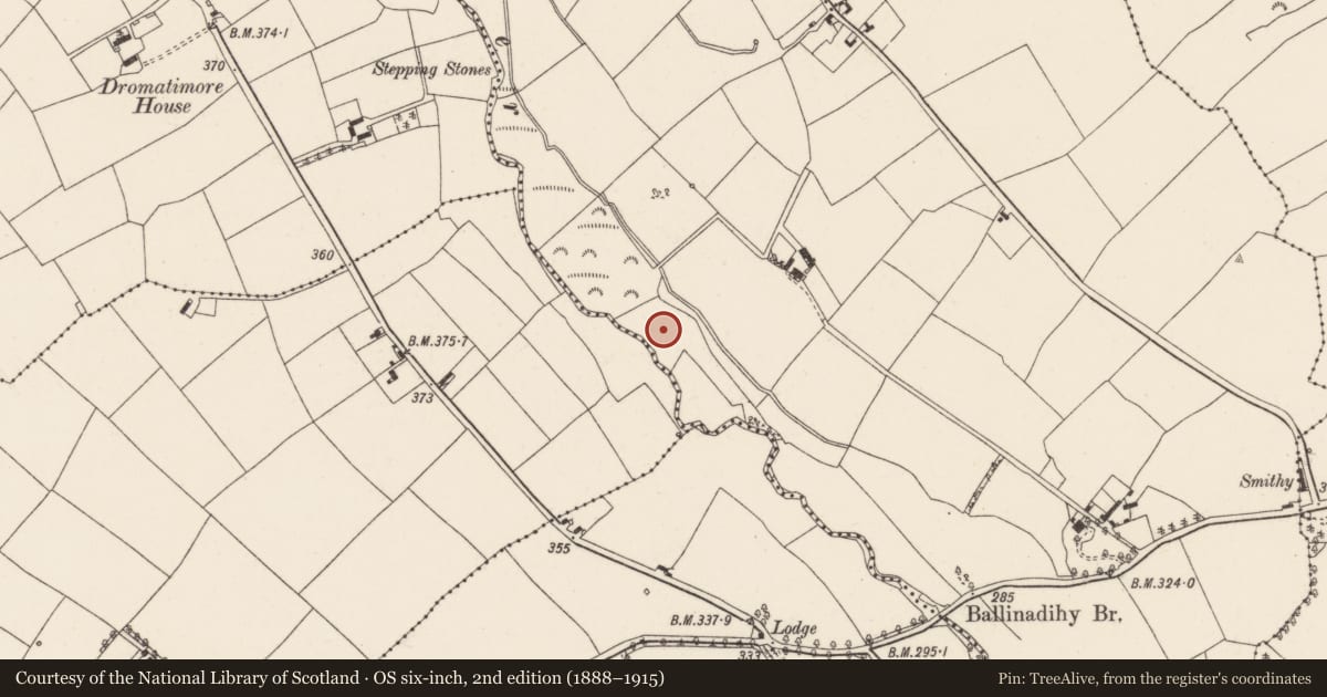 Ordnance Survey six-inch map, 2nd edition (1888–1915) covering the location of Fulacht fia, Clonmoyle West, County Cork, with a pin at the register's coordinates