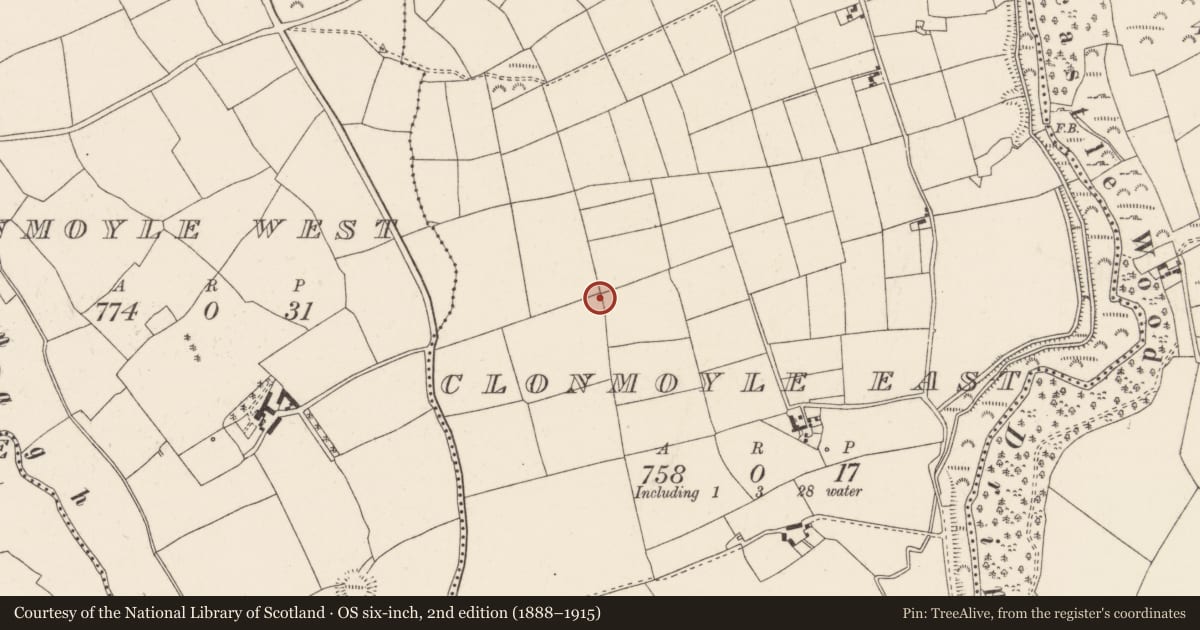 Ordnance Survey six-inch map, 2nd edition (1888–1915) covering the location of Standing stone, Clonmoyle East, County Cork, with a pin at the register's coordinates