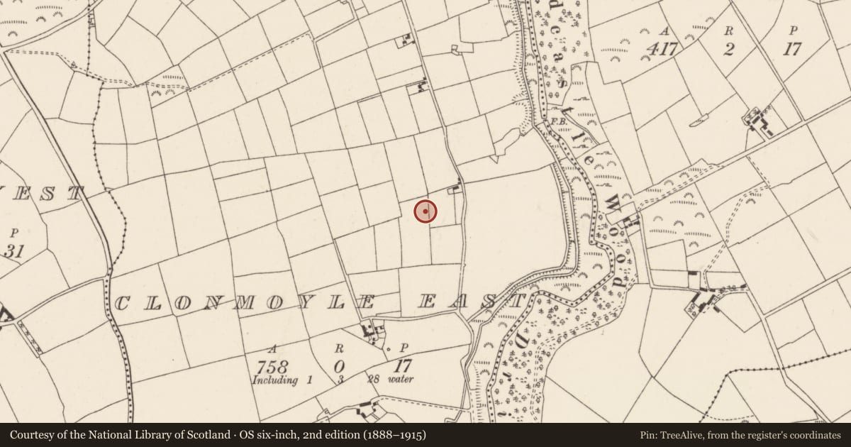 Ordnance Survey six-inch map, 2nd edition (1888–1915) covering the location of Standing stone, Clonmoyle East, County Cork, with a pin at the register's coordinates