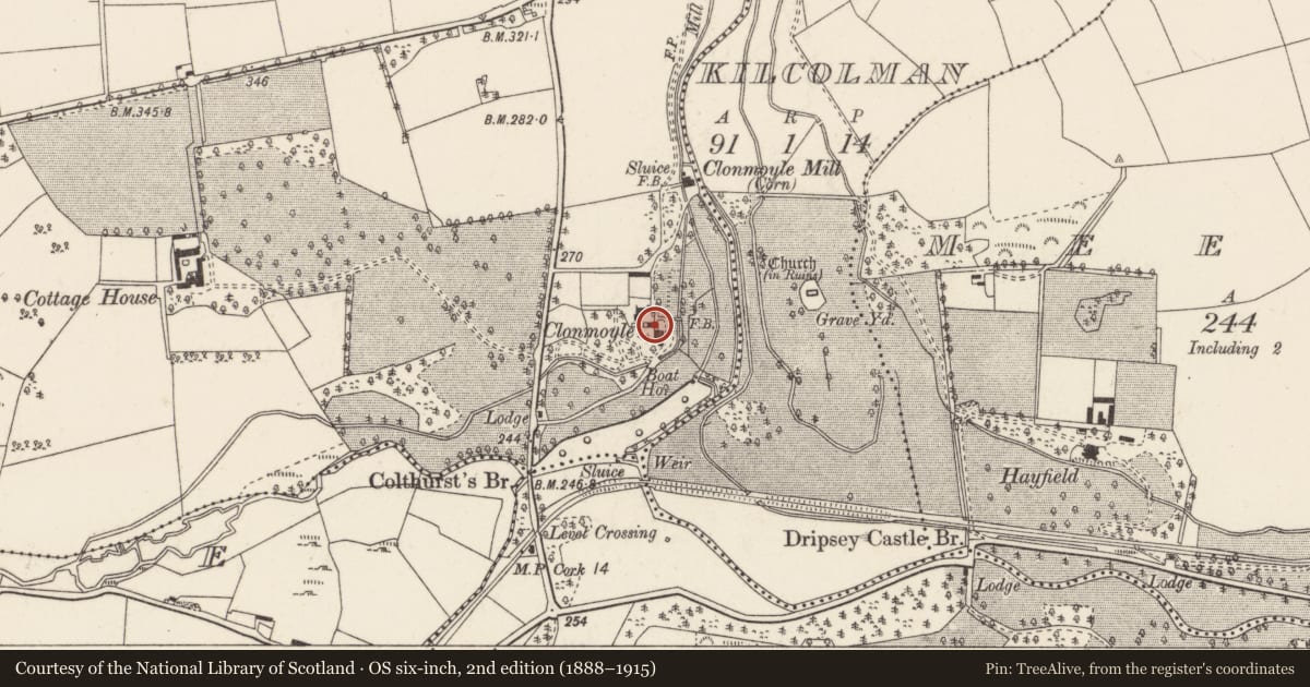 Ordnance Survey six-inch map, 2nd edition (1888–1915) covering the location of Country house, Clonmoyle East, County Cork, with a pin at the register's coordinates
