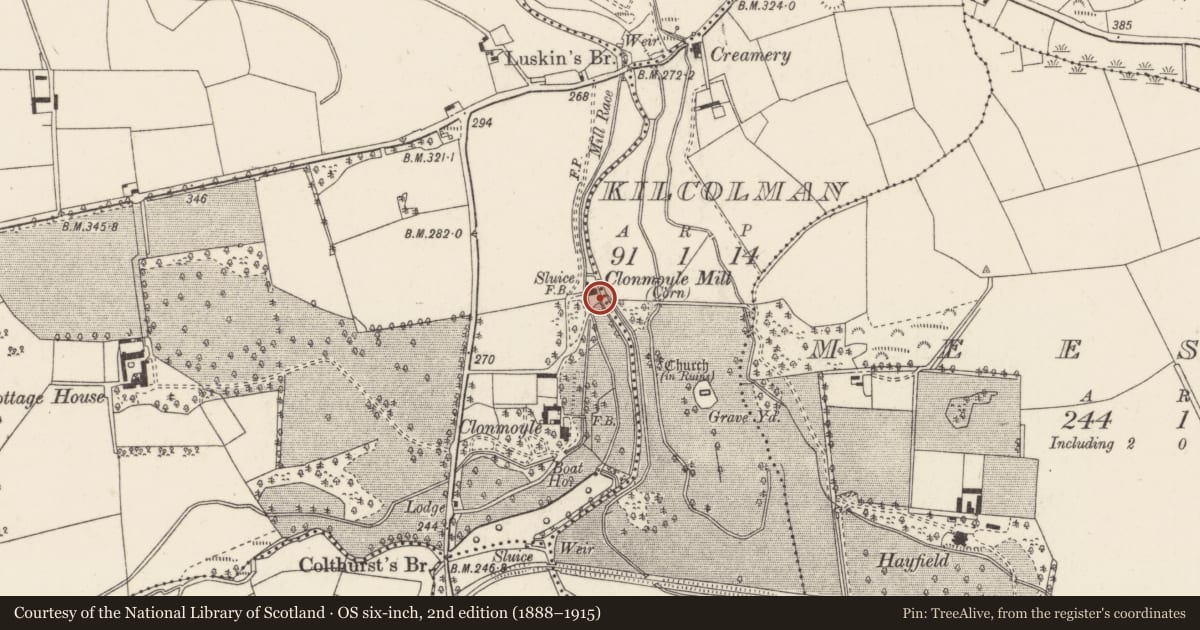 Ordnance Survey six-inch map, 2nd edition (1888–1915) covering the location of Mill - corn, Clonmoyle East, County Cork, with a pin at the register's coordinates