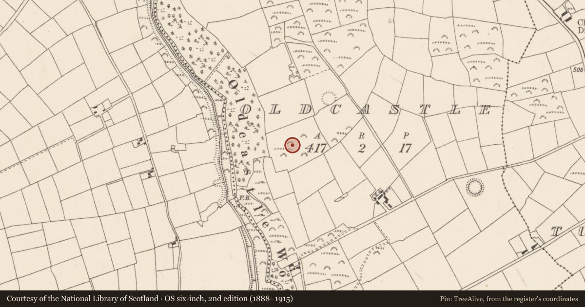 Ordnance Survey six-inch map, 2nd edition (1888–1915) covering the location of Standing stone, Oldcastle, County Cork, with a pin at the register's coordinates