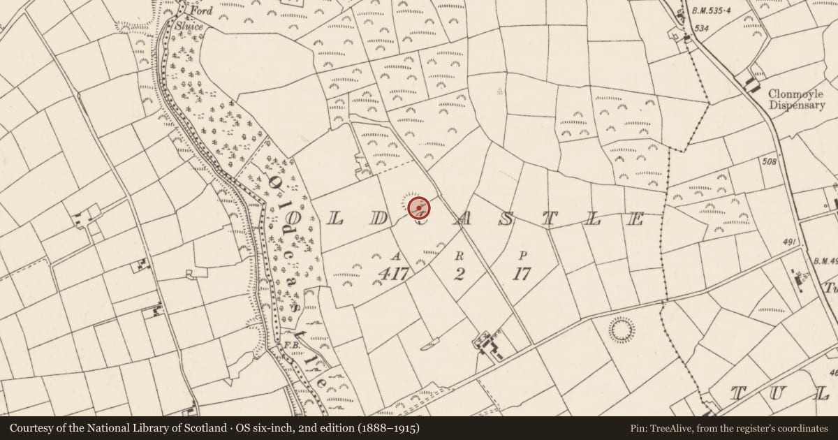 Ordnance Survey six-inch map, 2nd edition (1888–1915) covering the location of Souterrain, Oldcastle, County Cork, with a pin at the register's coordinates