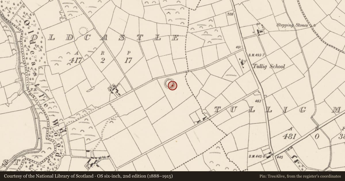Ordnance Survey six-inch map, 2nd edition (1888–1915) covering the location of Souterrain, Oldcastle, County Cork, with a pin at the register's coordinates