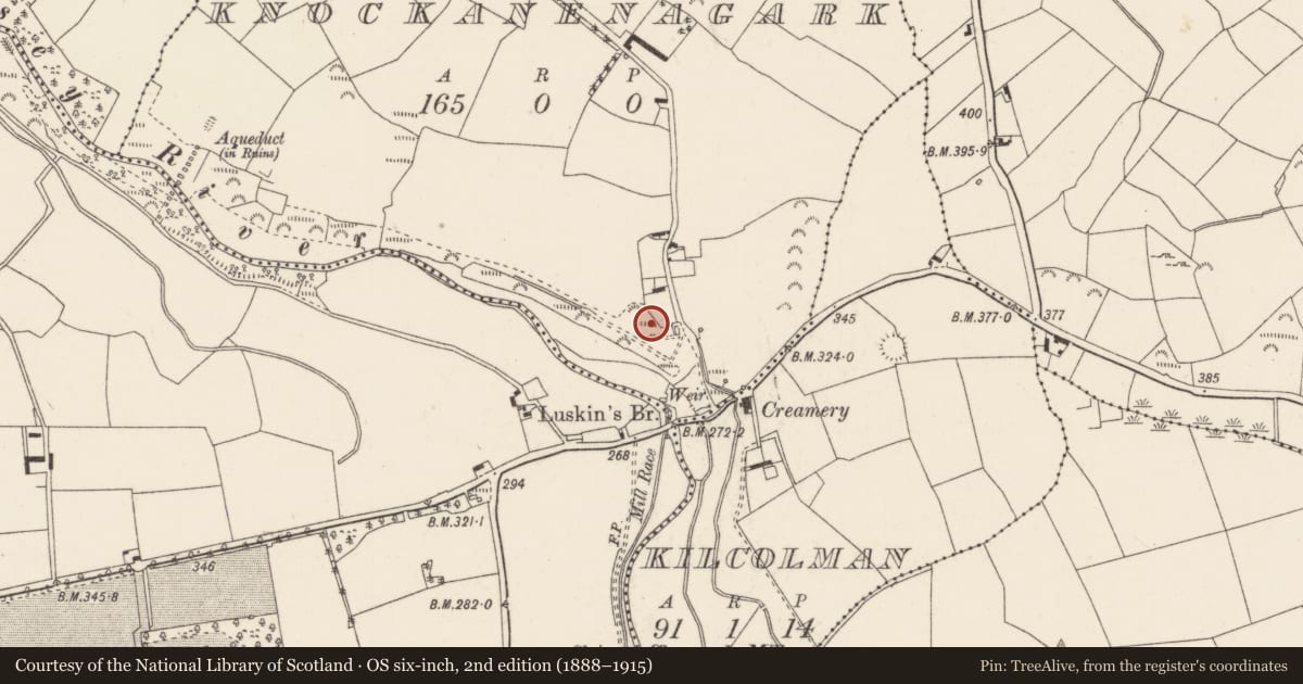 Ordnance Survey six-inch map, 2nd edition (1888–1915) covering the location of Souterrain, Knockanenagark, County Cork, with a pin at the register's coordinates