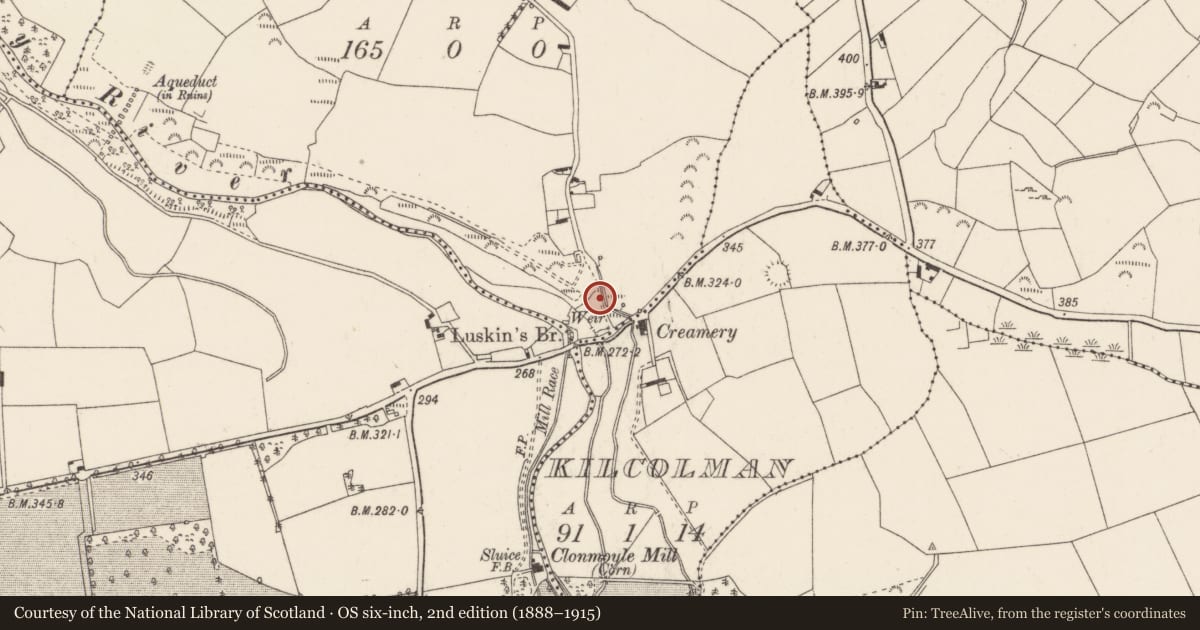 Ordnance Survey six-inch map, 2nd edition (1888–1915) covering the location of Ritual site - holy/saint's stone, Knockanenagark, County Cork, with a pin at the register's coordinates