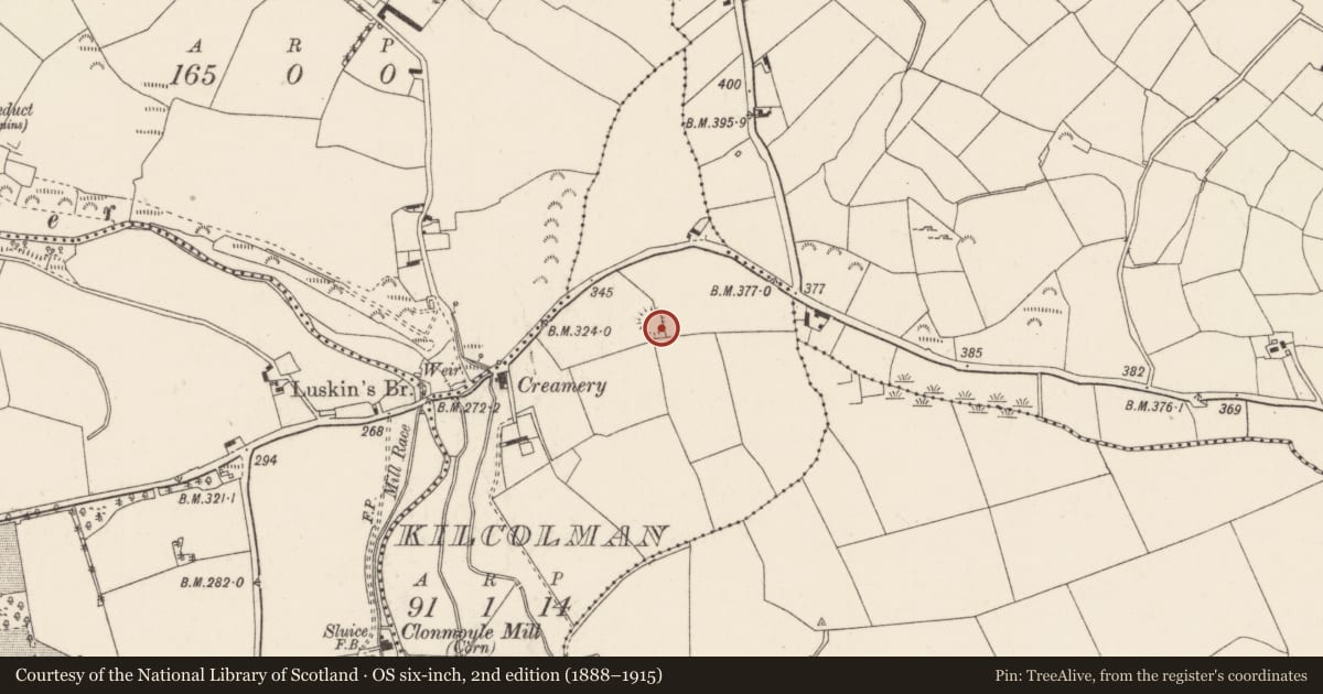 Ordnance Survey six-inch map, 2nd edition (1888–1915) covering the location of Ringfort - rath, Kilcolman, County Cork, with a pin at the register's coordinates