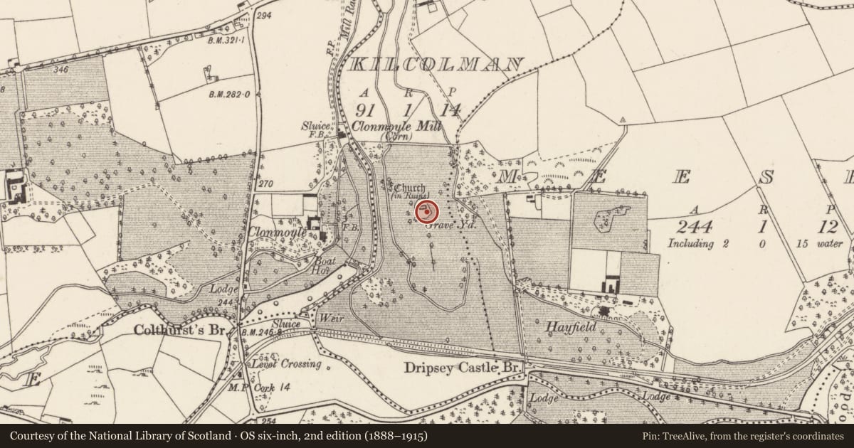 Ordnance Survey six-inch map, 2nd edition (1888–1915) covering the location of Graveyard, Kilcolman, County Cork, with a pin at the register's coordinates