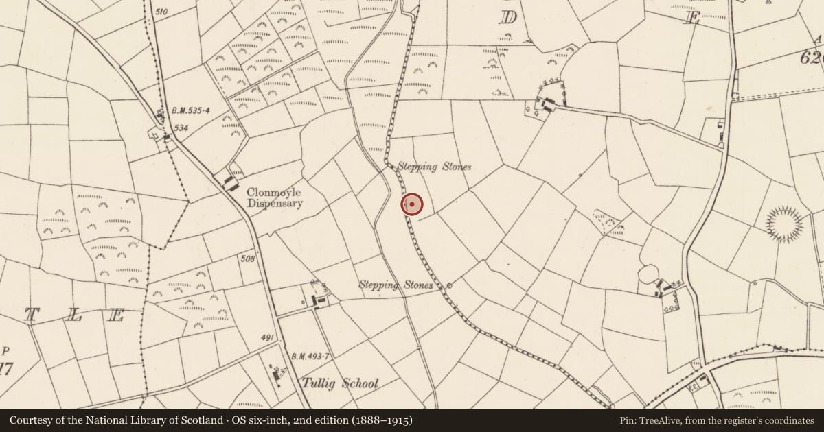 Ordnance Survey six-inch map, 2nd edition (1888–1915) covering the location of Fulacht fia, Derry, County Cork, with a pin at the register's coordinates