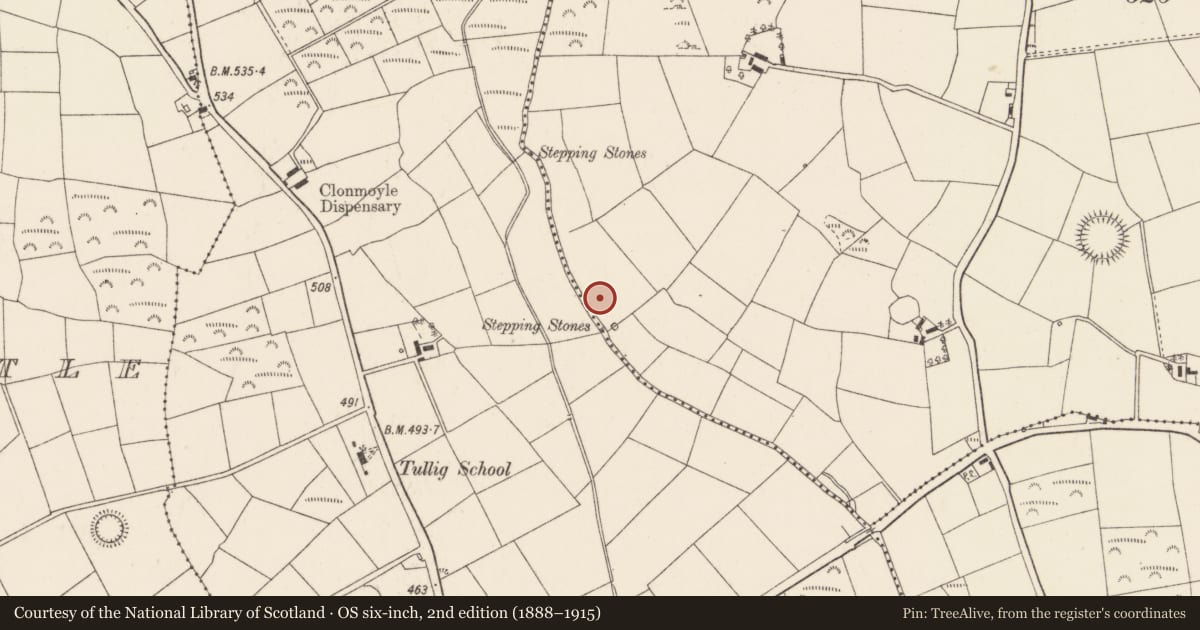 Ordnance Survey six-inch map, 2nd edition (1888–1915) covering the location of Fulacht fia, Derry, County Cork, with a pin at the register's coordinates