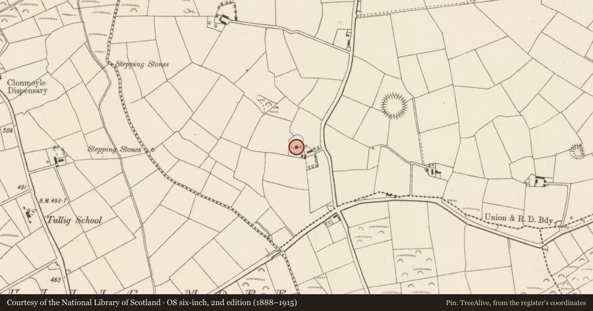 Ordnance Survey six-inch map, 2nd edition (1888–1915) covering the location of Ringfort - rath, Derry, County Cork, with a pin at the register's coordinates