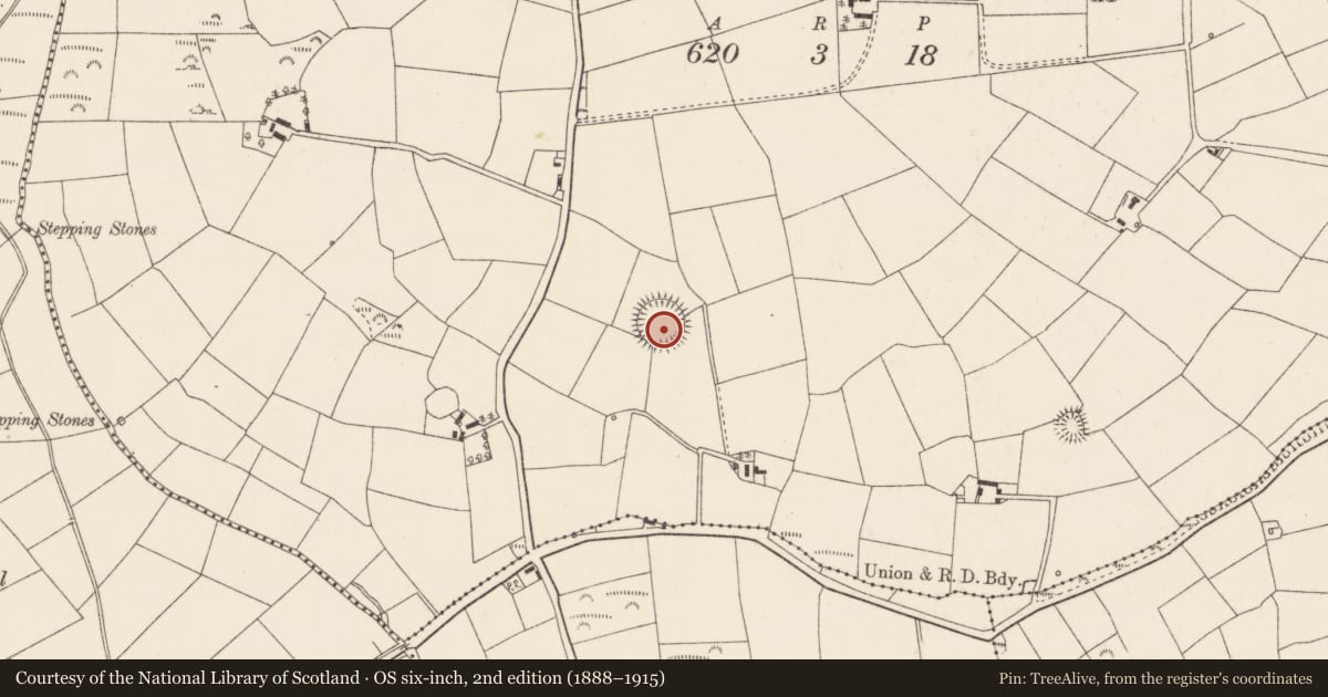 Ordnance Survey six-inch map, 2nd edition (1888–1915) covering the location of Ringfort - rath, Derry, County Cork, with a pin at the register's coordinates