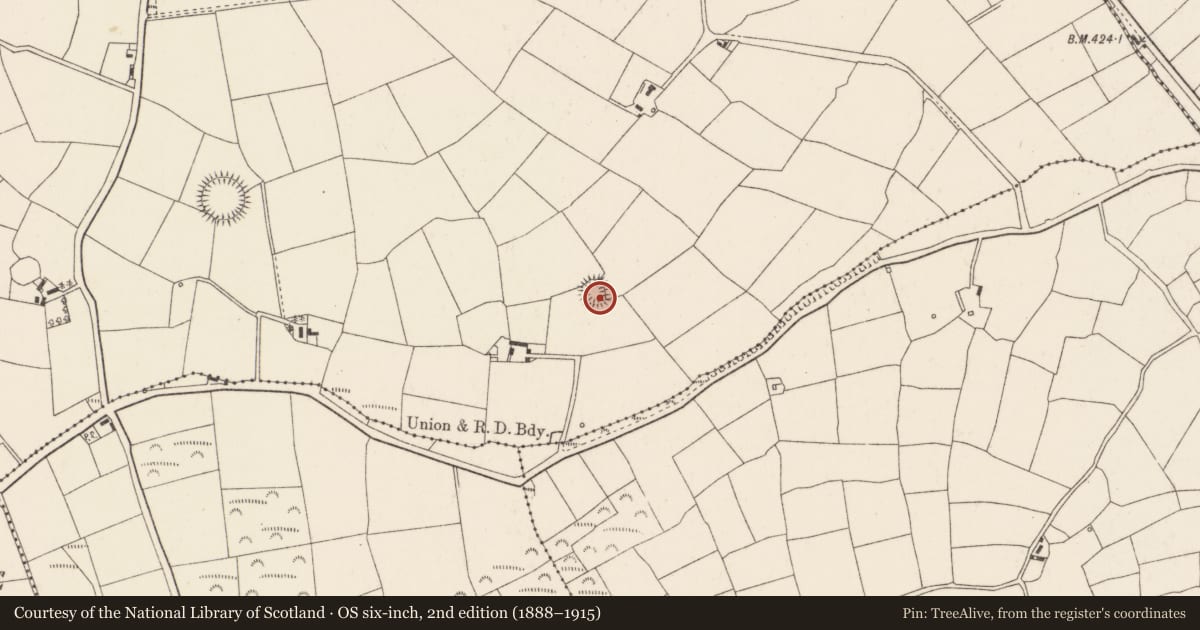 Ordnance Survey six-inch map, 2nd edition (1888–1915) covering the location of Souterrain, Derry, County Cork, with a pin at the register's coordinates
