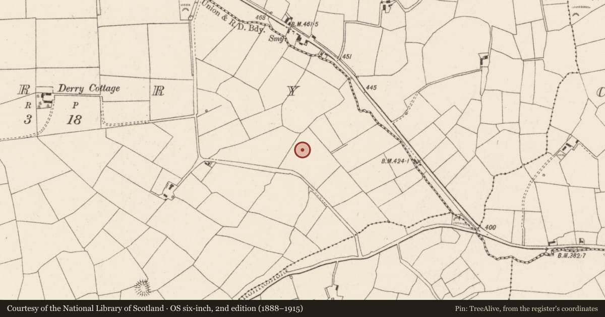 Ordnance Survey six-inch map, 2nd edition (1888–1915) covering the location of Standing stone, Derry, County Cork, with a pin at the register's coordinates