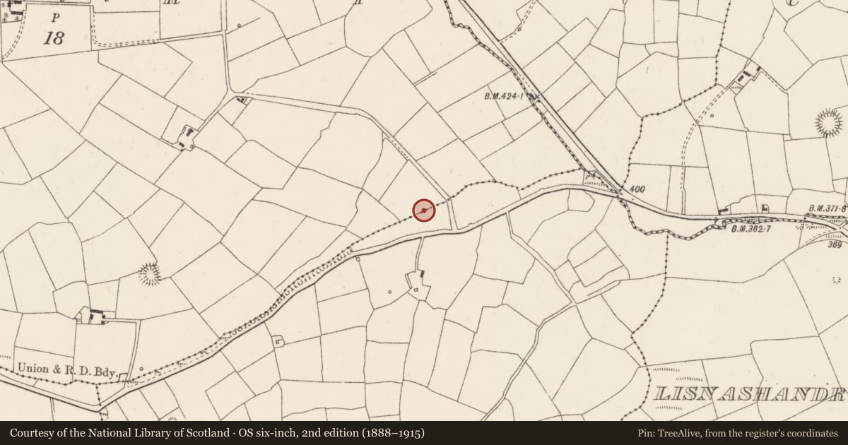 Ordnance Survey six-inch map, 2nd edition (1888–1915) covering the location of Fulacht fia, Derry, County Cork, with a pin at the register's coordinates