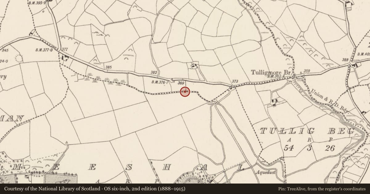 Ordnance Survey six-inch map, 2nd edition (1888–1915) covering the location of Fulacht fia, Tullig More, County Cork, with a pin at the register's coordinates
