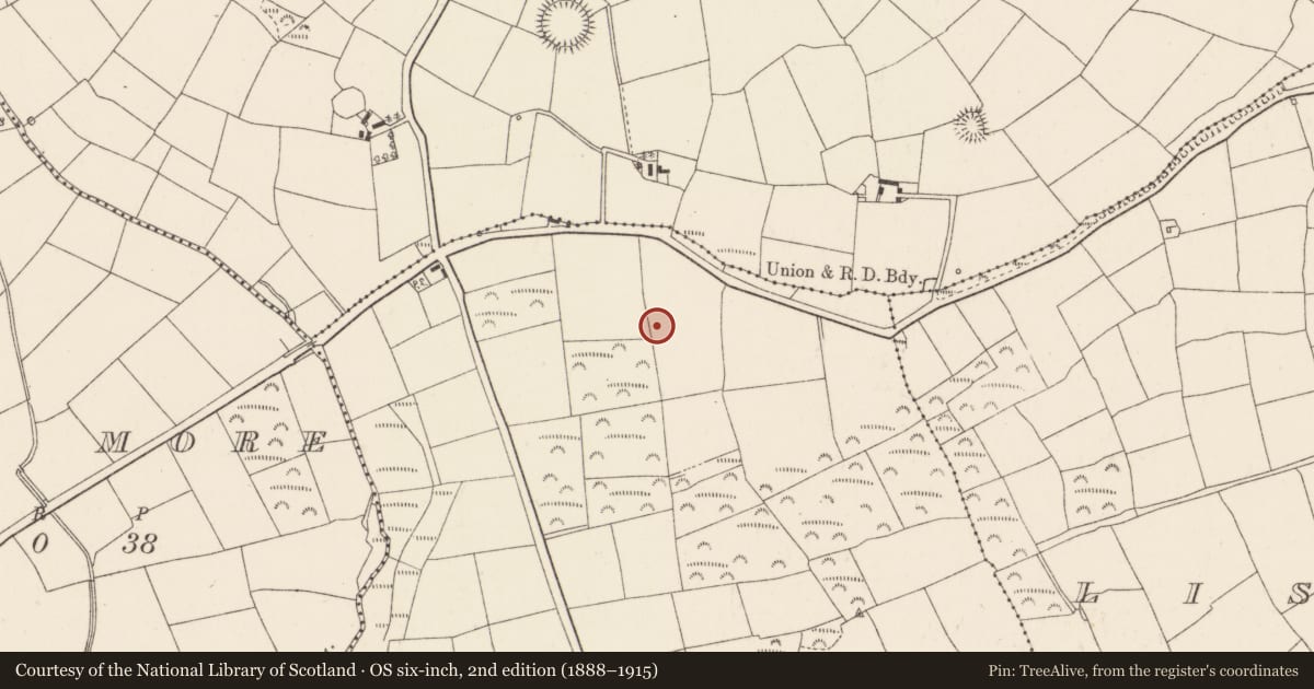 Ordnance Survey six-inch map, 2nd edition (1888–1915) covering the location of Standing stone, Knockane, County Cork, with a pin at the register's coordinates