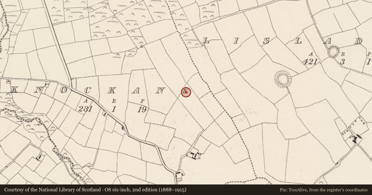 Ordnance Survey six-inch map, 2nd edition (1888–1915) covering the location of Fulacht fia, Knockane, County Cork, with a pin at the register's coordinates