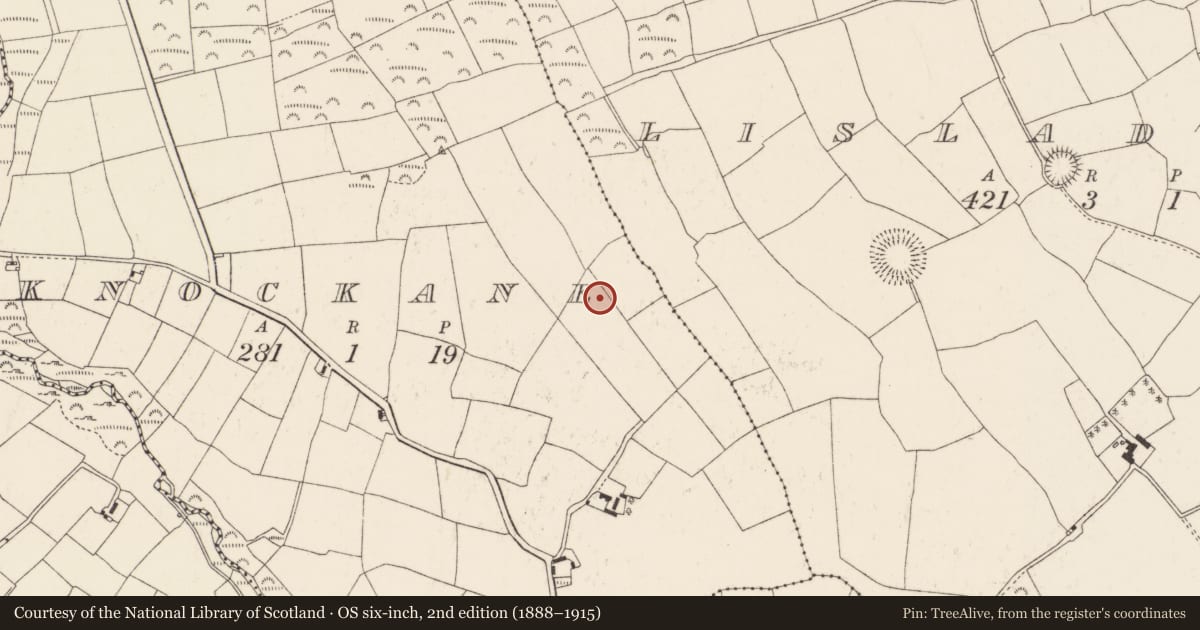 Ordnance Survey six-inch map, 2nd edition (1888–1915) covering the location of Ringfort - rath, Knockane, County Cork, with a pin at the register's coordinates