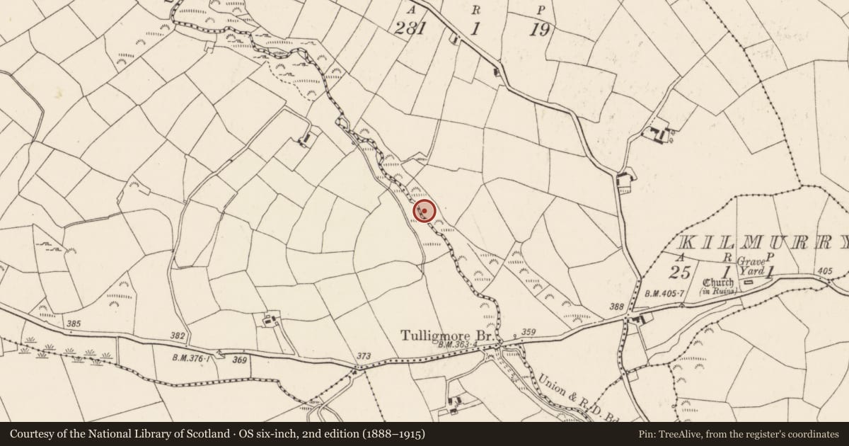 Ordnance Survey six-inch map, 2nd edition (1888–1915) covering the location of Fulacht fia, Knockane, County Cork, with a pin at the register's coordinates