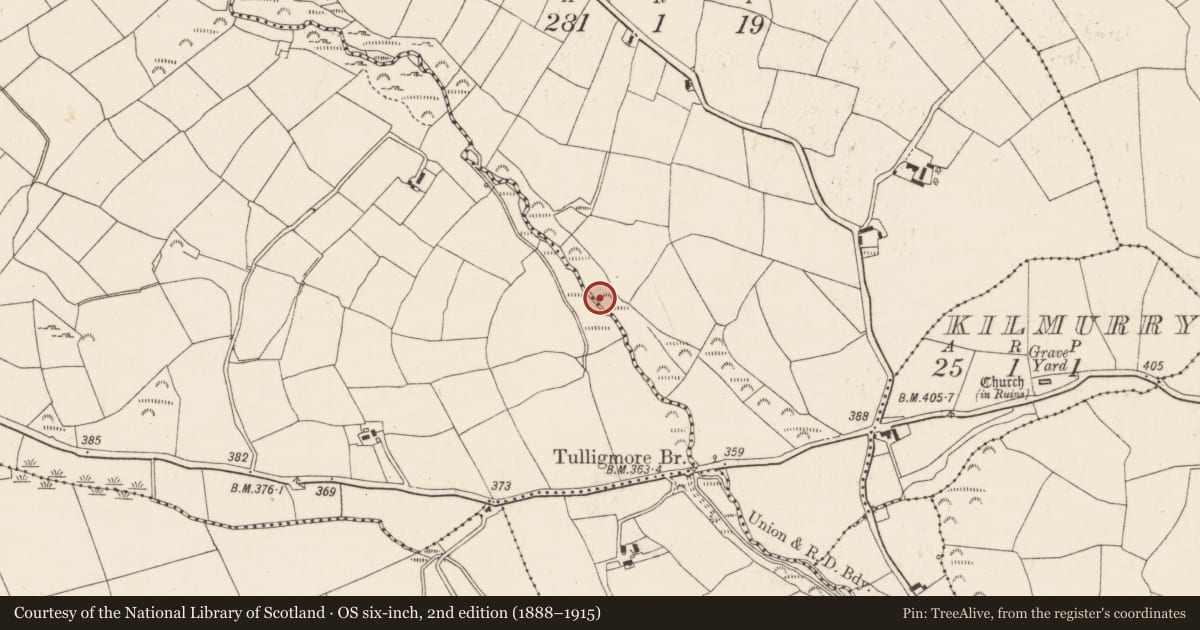 Ordnance Survey six-inch map, 2nd edition (1888–1915) covering the location of Fulacht fia, Knockane, County Cork, with a pin at the register's coordinates