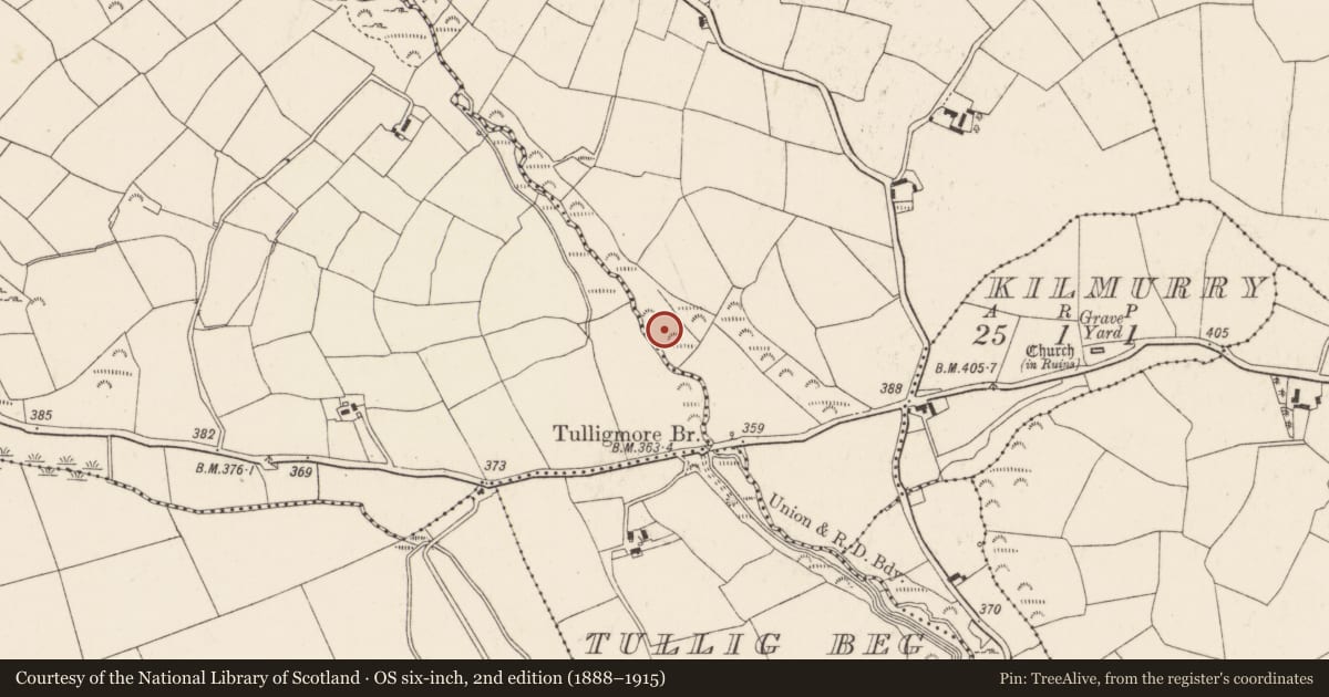 Ordnance Survey six-inch map, 2nd edition (1888–1915) covering the location of Fulacht fia, Knockane, County Cork, with a pin at the register's coordinates